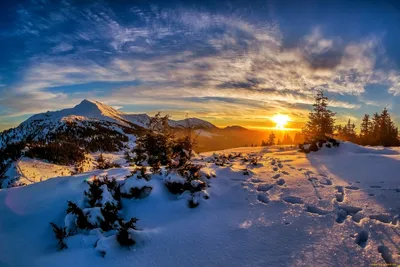 Обои Зима, рассвет, восход солнца, снег, деревья, горы, солнечные лучи  1242x2688 iPhone 11 Pro/XS Max Изображение