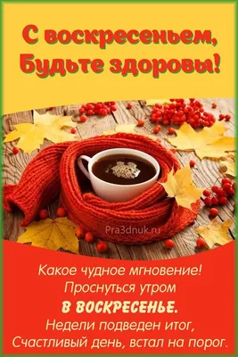 Добро воскресенье - Праздники сегодня | Воскресенье, Утро воскресенья,  Цитаты для поднятия настроения