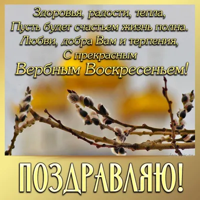 В воскресенье в Городском саду пройдет День Нептуна