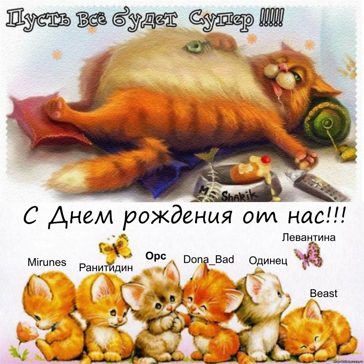 Вова с днем рождения открытки с поздравлениями