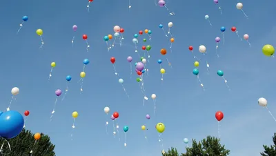 Разноцветные воздушные шарики | Воздушные шары, Радужные шары, День  рождения воздушные шары