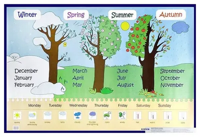 Времена года картинки для детского сада - 84 фото