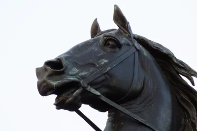 Скульптура «Всадник на коне» (Генрих IV) - The Grabar Art Conservation  Center