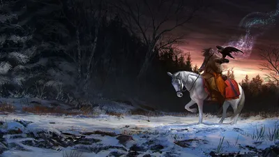 Всадник на белом коне. Молодой Horsewoman катание на представлении на белом  коне. Девушка на пробежек белой лошади, свободно. Тони Стоковое Изображение  - изображение насчитывающей природа, лошадиный: 210383795