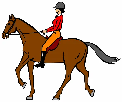Конный наездник, всадник, лошадь, млекопитающее, ковбой png | Klipartz