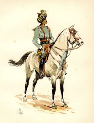 Всадник Верхом На Лошади — стоковые фотографии и другие картинки Арабская  лошадь - Арабская лошадь, Ездить на лошади, Лето - iStock
