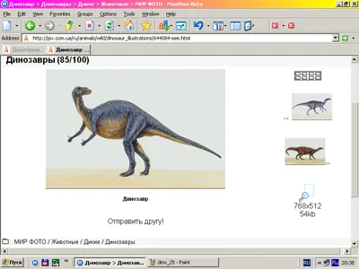 группа динозавров показывающая как они выглядели раньше, все названия  динозавров и картинки, динозавр, животное фон картинки и Фото для  бесплатной загрузки