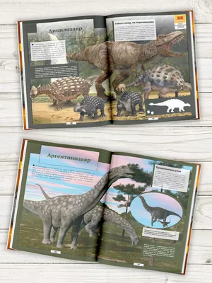 Энциклопедия АСТ Динозавры Познавательный набор купить по цене 1707 ₽ в  интернет-магазине Детский мир