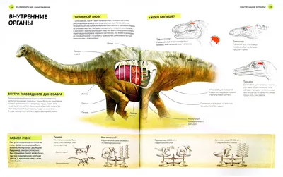 Ученые выяснили, как выглядел древнейший родич динозавров / новости :: Всё  самое интересное :: фэндомы :: динозавры - JoyReactor