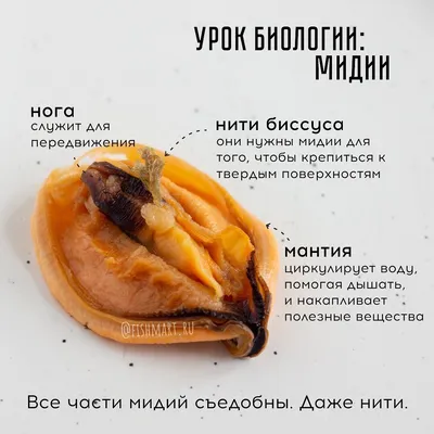 Все о номерах в закупках — Контур.Закупки