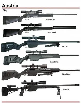 Steyr Mannlicher / Бренды / Weapons.ru - продажа оружия, патронов и товаров  для охоты