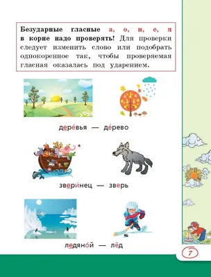 Иллюстрация 8 из 35 для Русский язык.. Все правила в схемах, таблицах и  картинках - Сергей Матвеев