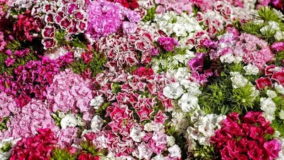 Оформление цветочных букетов - настоящая магия | UFL