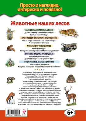 Купить фотообои \"Животные все вместе\" в интернет-магазине в Москве