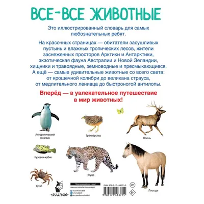 Иллюстрация 24 из 50 для Все животные с крупными буквами - Елена Ананьева |  Лабиринт - книги. Источник: