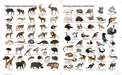 Все животные мира» — создано в Шедевруме