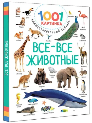 Книга «1000 животных мира», Робинс, 785436602059rob купить в интернет  магазине детских игрушек ToyWay