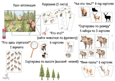 Математическая головоломка | Сколько весят все животные вместе? - Питомцы  Mail.ru