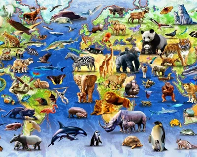 Все животные на одной картинке - 81 фото