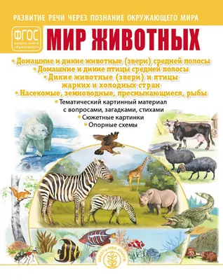 Фотообои на стену Fotooboikin \"Животные 3D\" 400x270 см fot-256 - выгодная  цена, отзывы, характеристики, фото - купить в Москве и РФ