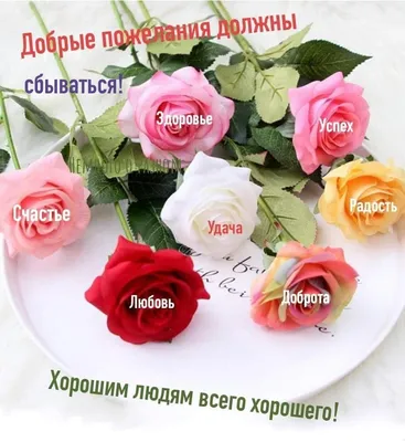 🌺 Всего хорошего! | Поздравления, пожелания, открытки | ВКонтакте