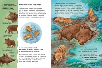 Хищные и всеядные животные в Центральной Азии» — создано в Шедевруме