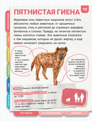 20 прелестных животных, которые просто обожают арбузы » uCrazy.ru -  Источник Хорошего Настроения