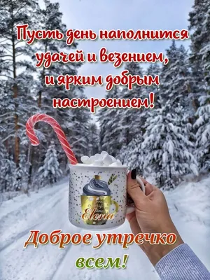 Доброе утро всем добрым людям! 🎄☃️☕ | Доброе утро, Надписи, Утренние  сообщения