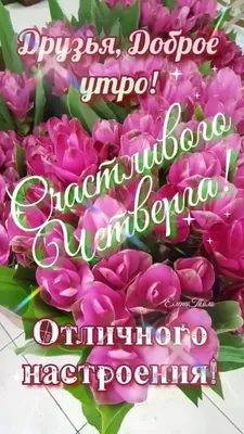 Табличка интерьерная - Всем доброе утро Лиса 40х30см., 40 см, 30 см -  купить в интернет-магазине OZON по выгодной цене (1133631322)