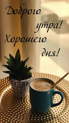 Всем доброго утра и хорошего дня картинки фотографии