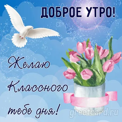 Всем доброе утро😇😇😇ждем наших любимых клиентов за  красотой🤗🤗🤗запись☎️20-75-00☎️ | ВКонтакте