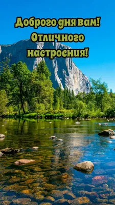 Открытки \"Доброго дня!\" и \"Хорошего настроения!\" (224 шт.)