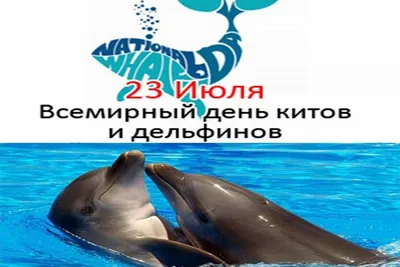 ТМ «Чистая вода» - 23 июля - Всемирный день китов и дельфинов! С  праздником! Кто из нас не мечтал прикоснуться, погладить✋, обнять,  поцеловать💋 дельфина🐬 - одного из самых обаятельных представителей  морской фауны🐳?