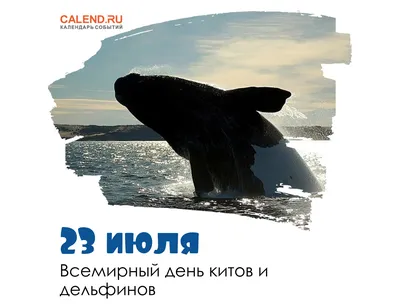 19 февраля - Всемирный день защиты морских млекопитающих, или День кита