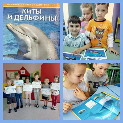 23 июля - Всемирный день китов и дельфинов - Агентство социальной информации