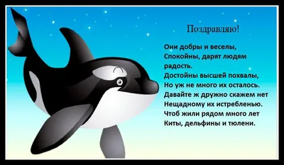23 июля - Всемирный день китов и дельфинов ⋆ НИА \"Экология\" ⋆