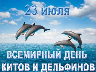 23 июля — всемирный день китов и дельфинов