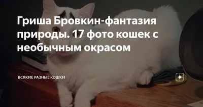 Мамы всякие нужны, мамы разные важны!» Фотоотчёт о совместном творчестве  родителей и детей (10 фото). Воспитателям детских садов, школьным учителям  и педагогам - Маам.ру