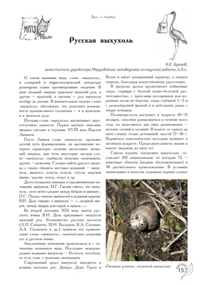 083 Русская выхухоль – Desmana moschata.jpg