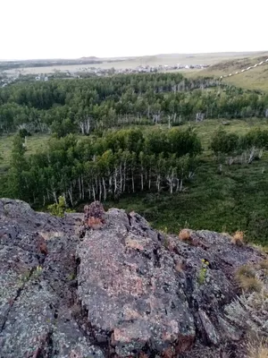 12 месяцев здоровья. Здоровая спина - красивая осанка