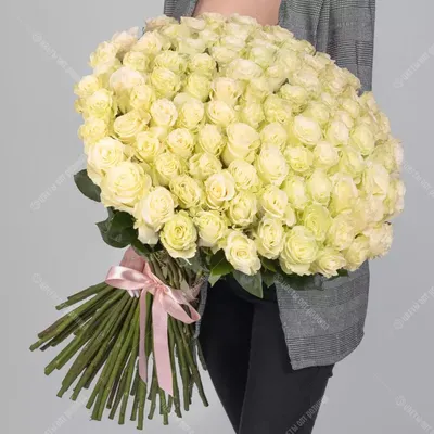 Букет из 101 белая роза (70 см.) купить в Барнауле | Розы недорого оптом  розница