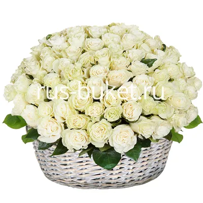 Композиция Корзина из 101 белой розы» с розами - купить в Белгороде за 24  000 руб
