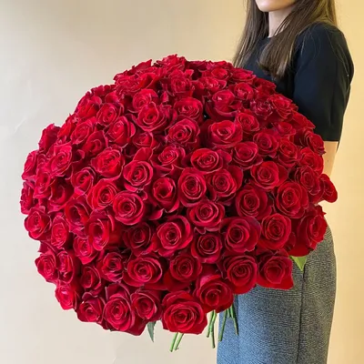 Букет из 101 бордовой розы №509 огромного размера купить в Москве с  доставкой недорого | Цветочка
