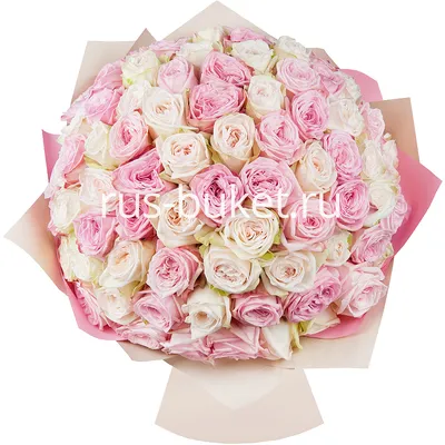 Букет из 101 белой и розовой пионовидной розы» с розами - купить во  Владивостоке за 42 080 руб