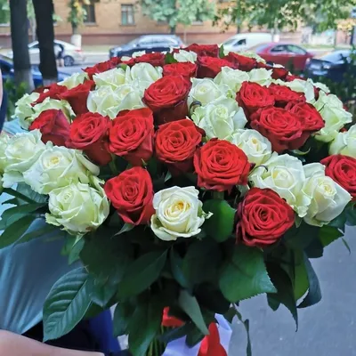 Букет из 101 розы \"Королевский рубин\"» с розами - купить в Москве за 12 810  руб