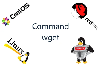 В чем разница между Curl и Wget?