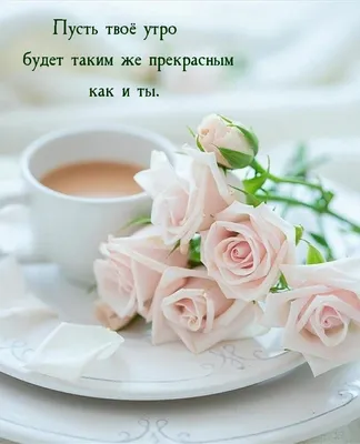Www доброе утро картинки фотографии