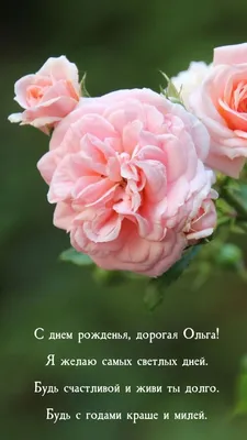 Оля Полякова - С днём рождения, наша королева! ❤️ | Facebook