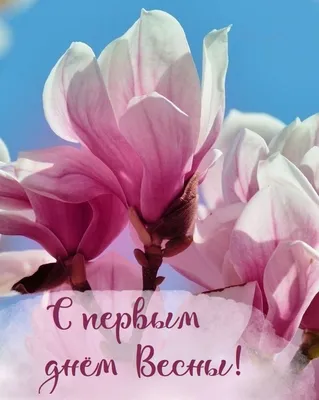 Очень красивые тюльпаны и поздравление с первым днем весны - Скачайте на  Davno.ru