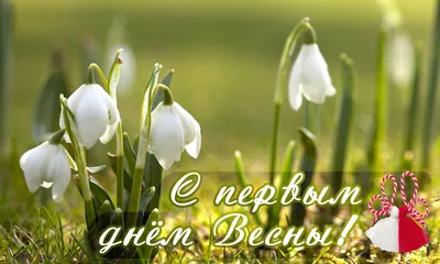Открытка с первым днем весны! открытки, поздравления на cards.tochka.net